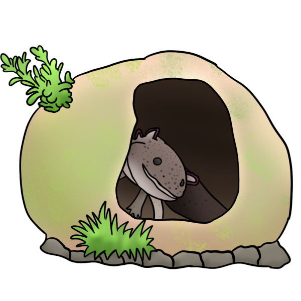 File:Lottie In Her Egg.png