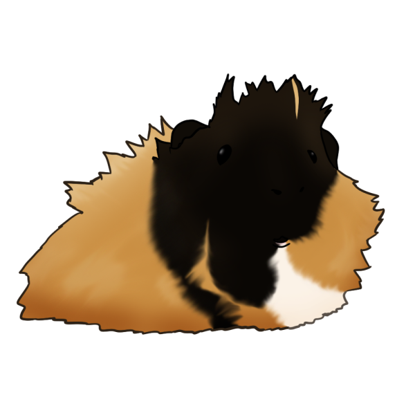 File:Motia.png