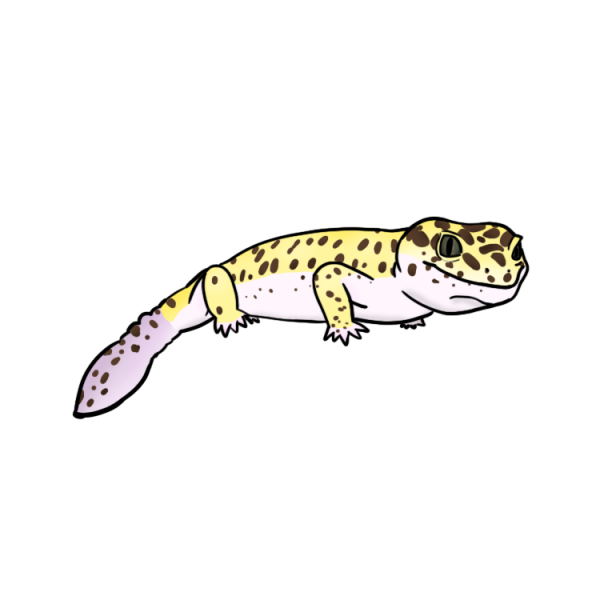File:Johannah.png