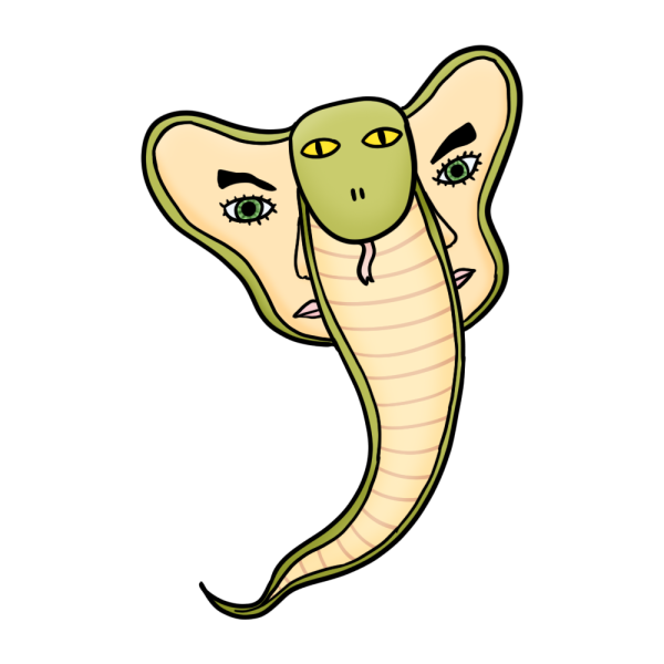 File:Litzodup.png