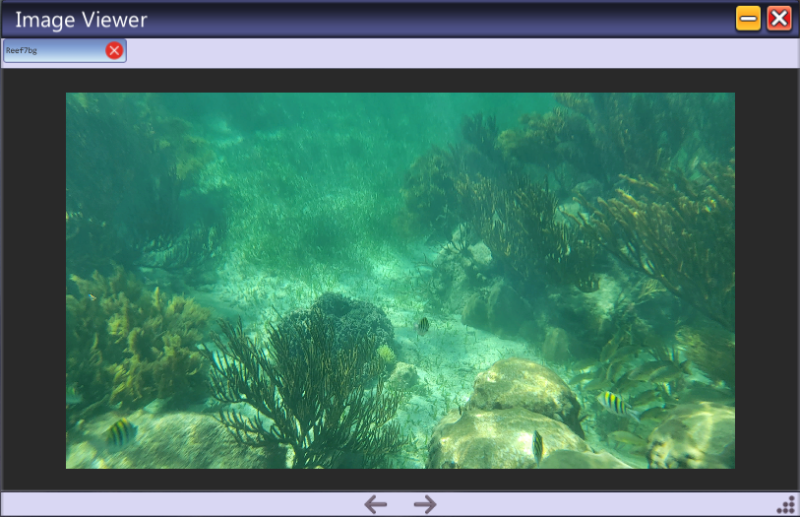 File:ME-OS Image Viewer 0.0.58.png